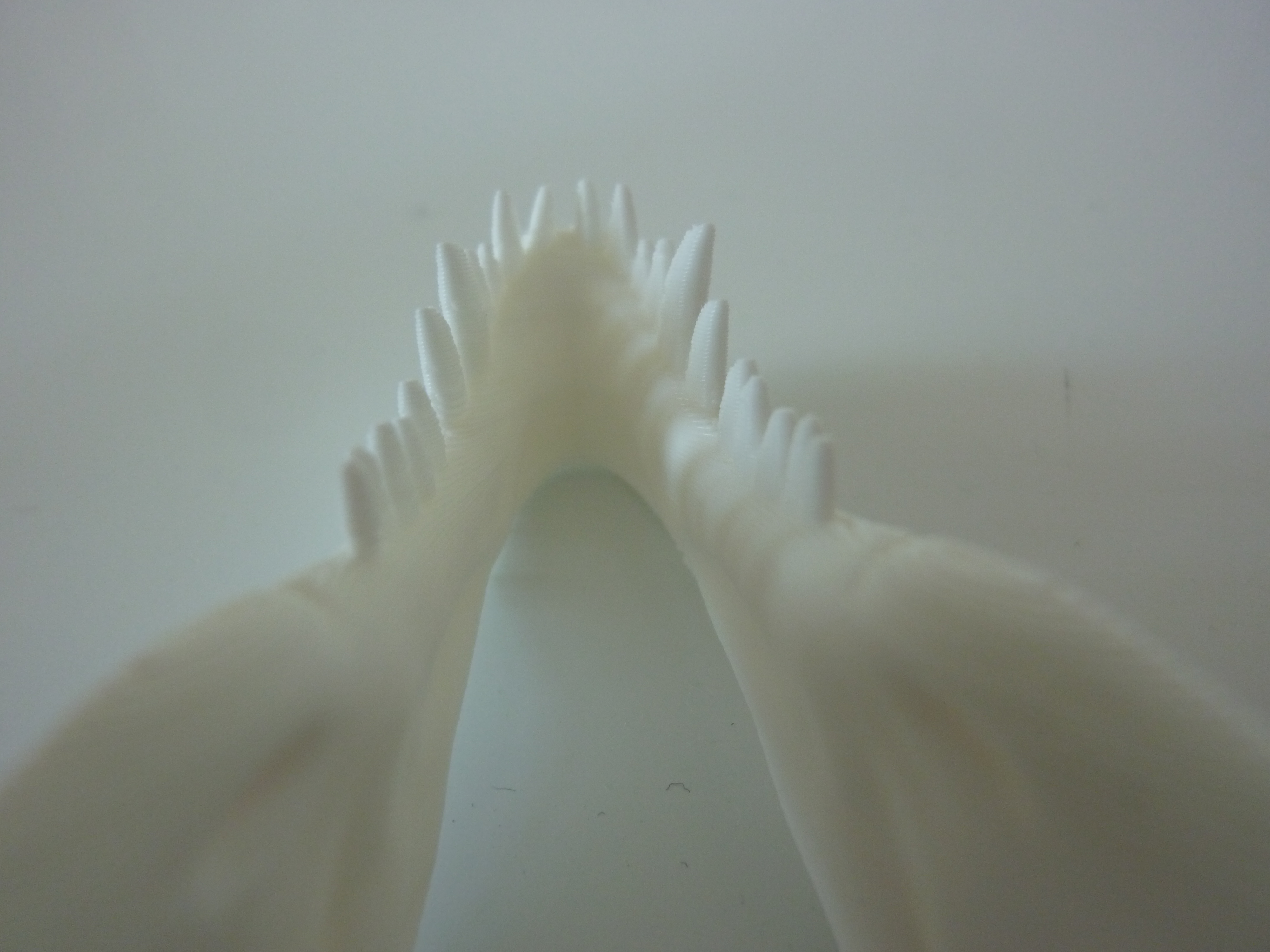 655325P1000747.jpg