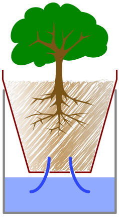 subirrigation-schema.png&f=1&nofb=1