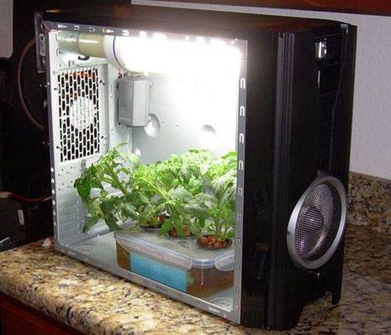 A grow box is a self-contained environment for growing plants. Grow boxes are totally enclosed, containing their own light and ventilation systems, utilizing hydroponics as a...
