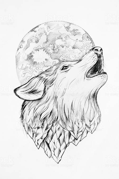 sketch-of-a-wolf-howling-at-the-moon-whi
