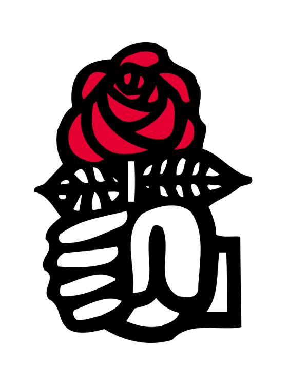 Parti_Socialiste.svg.png