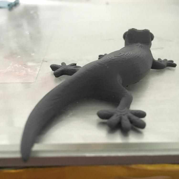 Geko3.jpg