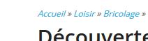 2016-07-25 22_36_52-Découverte de la Discovery200 _ l'imprimante 3D imprimée.jpg