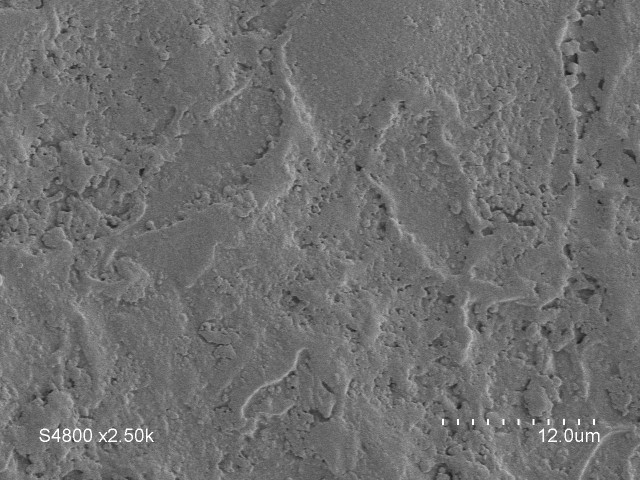 PLA_q04_small.jpg