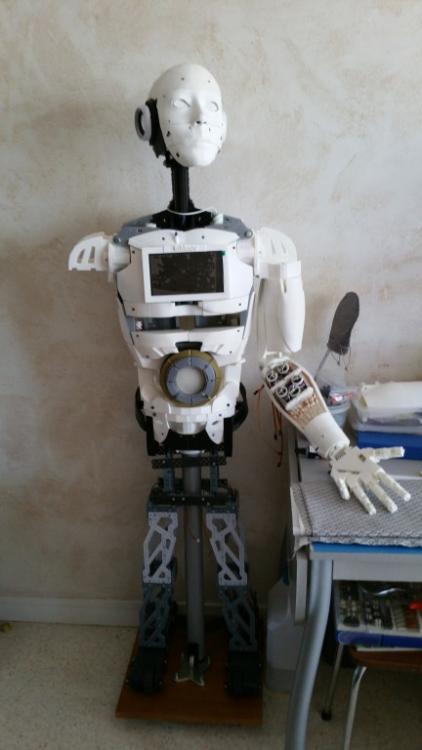 robot entier petit.jpg