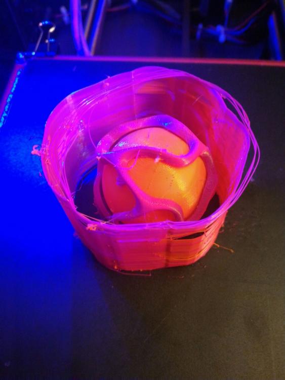 P_20170122_002554_1_p.jpg