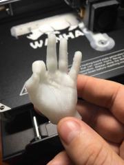 Wanhao test