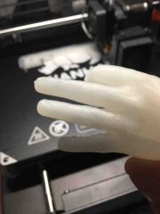 Wanhao test