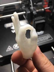 Wanhao test