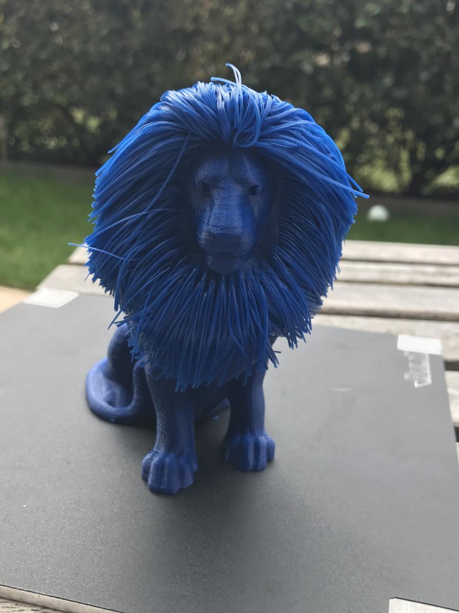 Hairy Lion