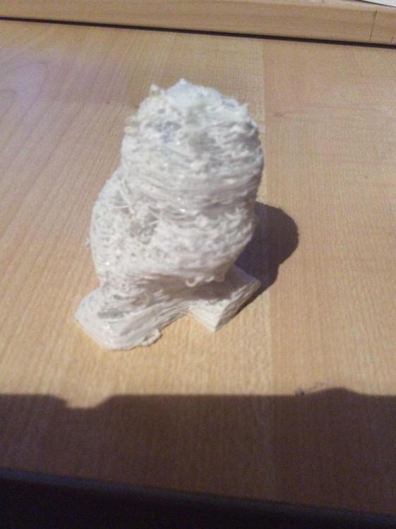 image.jpg