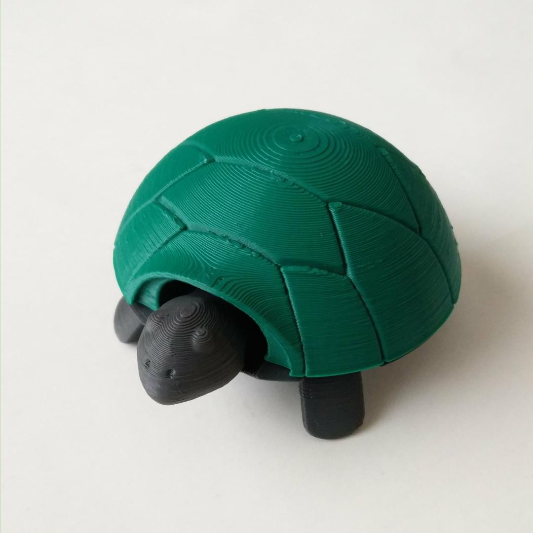 Squishy Turtle
