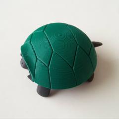 Squishy Turtle