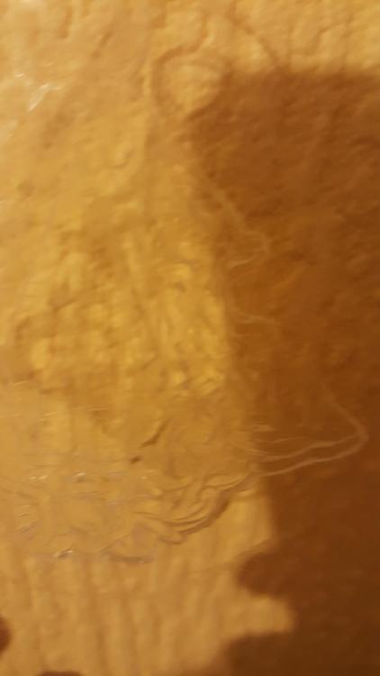 20171130_200843.jpg