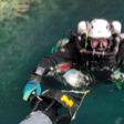 Sharky1145