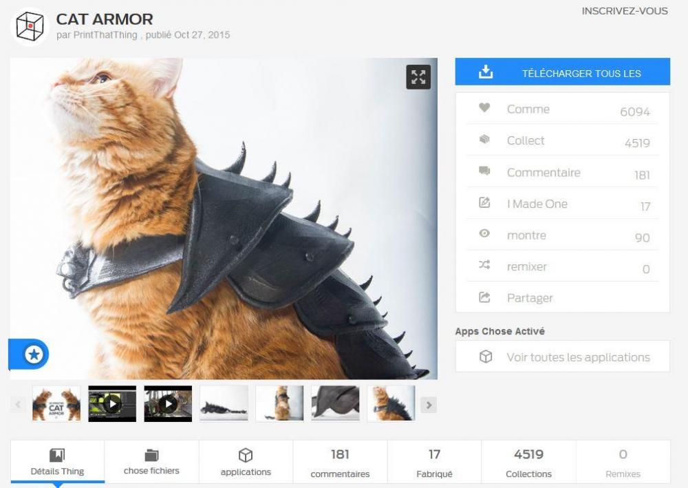 armor cat Capture.JPG