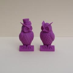 Owl_couple