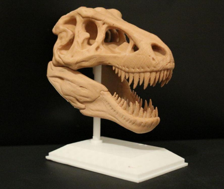 trex1Capture.JPG