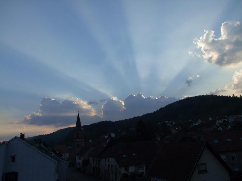 DSCF8915.thumb.jpg.fcc33401e379269bd65bfca6b1ddca99.jpg