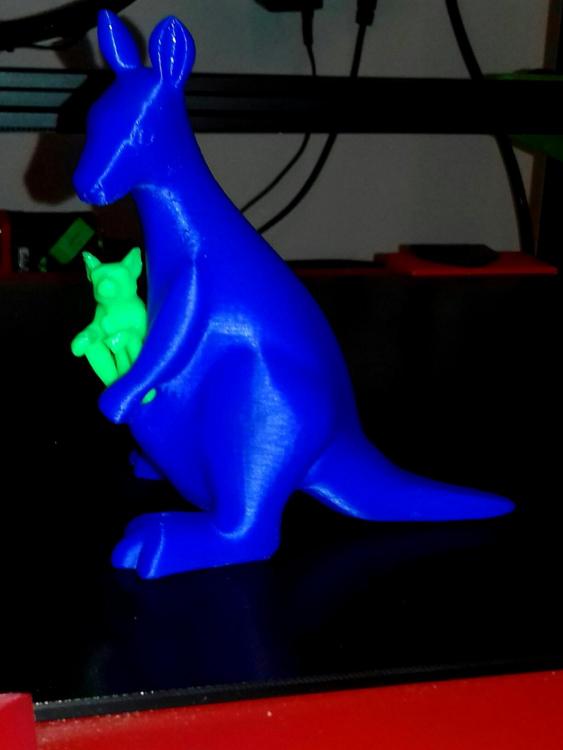 kangaroo.jpg