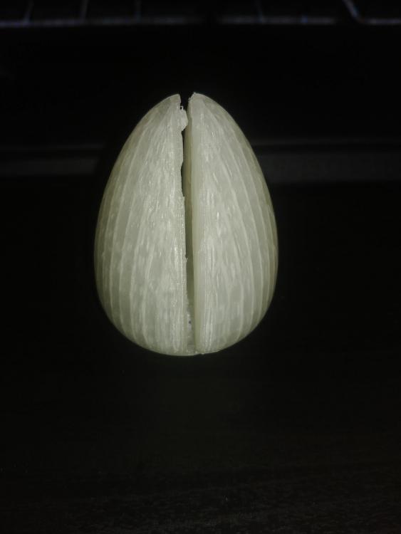 20190219_061816.jpg