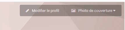 modifier_profil.png.bc1638c04dc76bcccb772345b0db8a2b.png