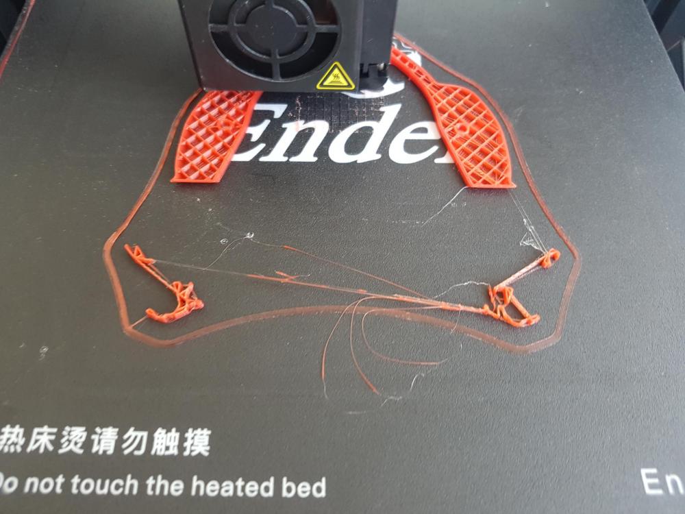 20190321_103426.thumb.jpg.a1faccbb85e24299acc66a0f703d238c.jpg