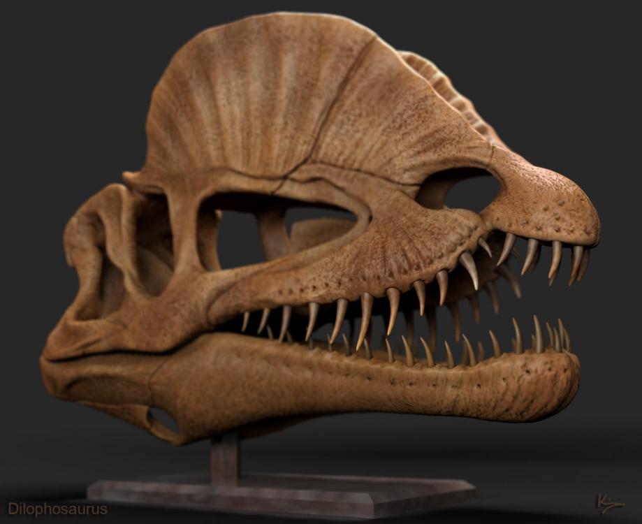 Dilophosaurus.jpg