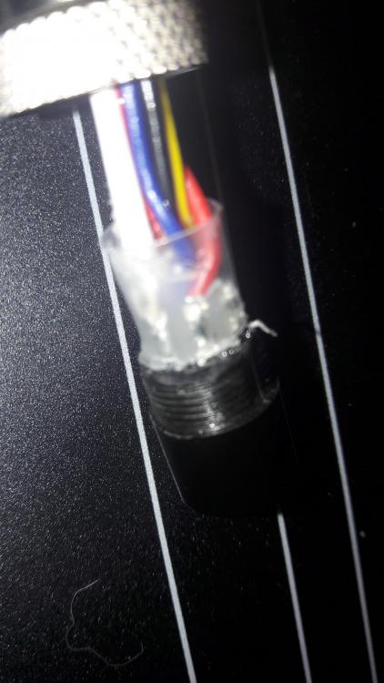 20190710_150035.thumb.jpg.380918e65d461b02ba2580adbb8a6b66.jpg