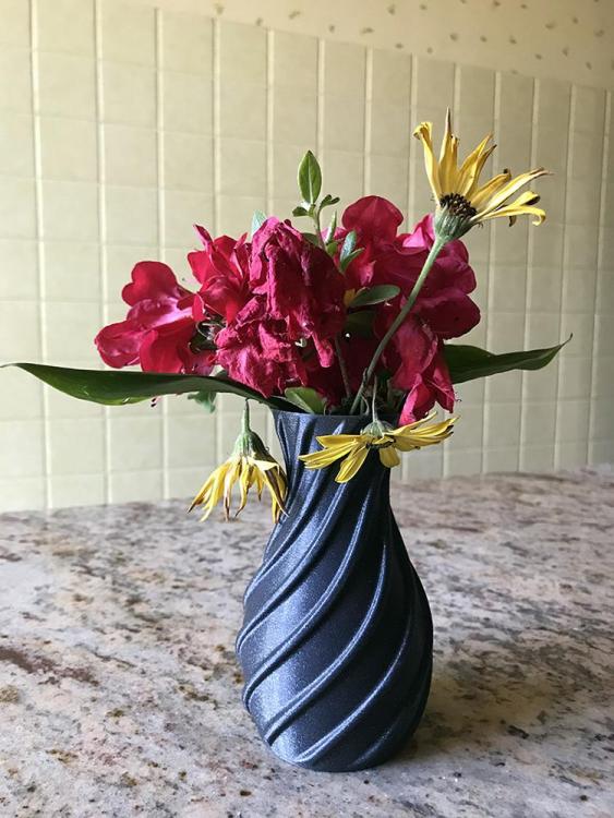 vase10.thumb.jpg.b8ae94c805bef2a96fb72bf6a3fd3f49.jpg