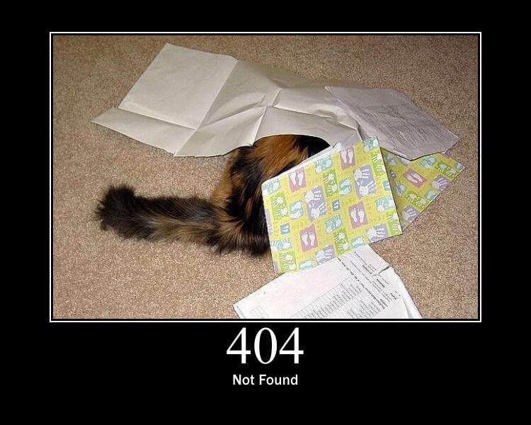 404_http_cat.jpg.e9b7e7be3be236f9e4e667562a0bc102.jpg