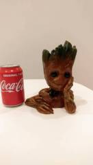 Groot par @klem1