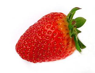 313px-Fraises_2_Luc_Viatour.jpg.872d9f8a2662bc10d6a7359f397d4f2c.jpg