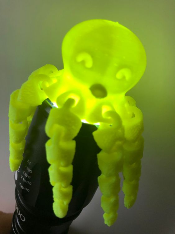 octopus lumière.jpg