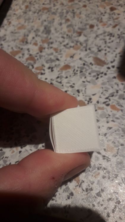 20201202_083237.jpg