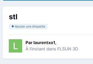 2022-02-08 10_47_25-stl - FLSUN 3D - Forum pour les imprimantes 3D et l'impression 3D.jpg