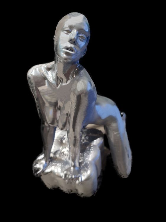 impression 3d neptune 2s buse 0.2 PLA 208°.jpg