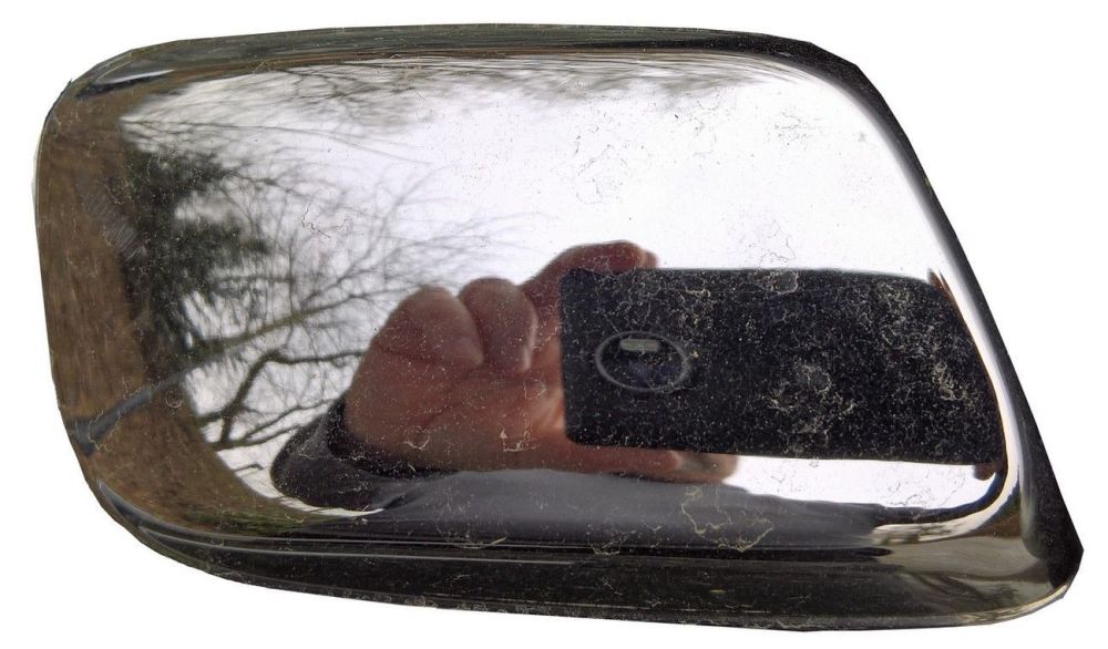 patte.thumb.jpg.1230519d4b4956651884f345770ebdc4.jpg
