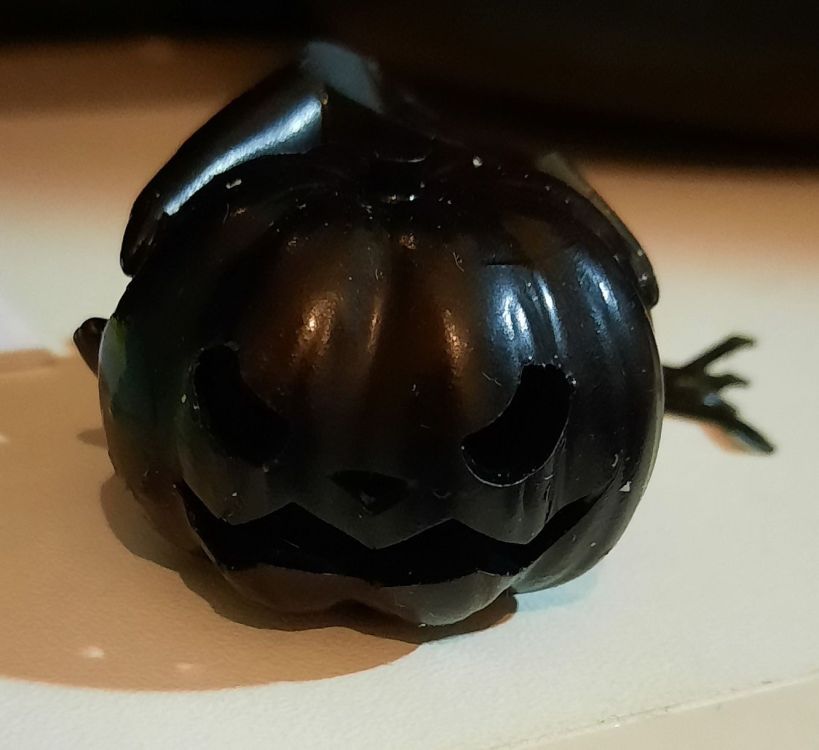 Citrouille.thumb.jpg.0acea212cc4e42b3285db9a1ea97a8f3.jpg