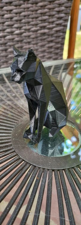 20220603_152824.jpg