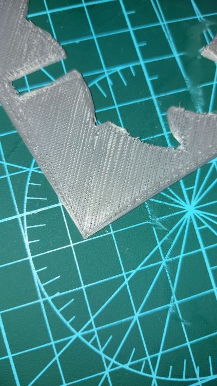 20220811_201310.jpg