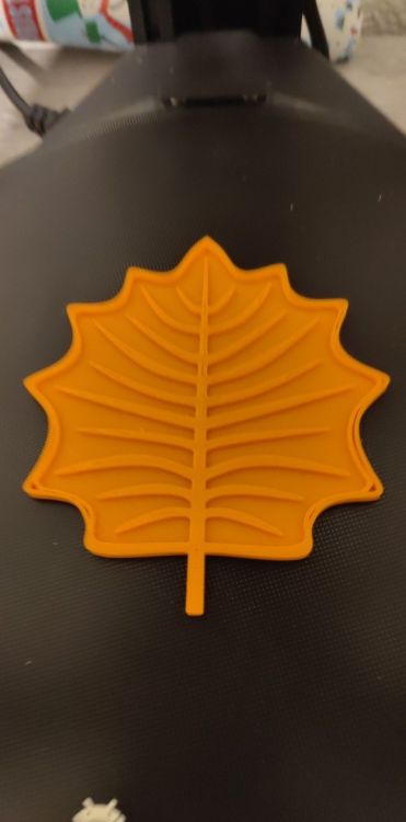 feuille8.jpg