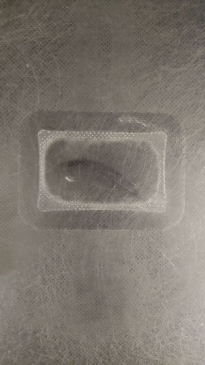 1668351986650.thumb.jpg.d350f4d5d89b3a09ebb19a9180c89c3c.jpg