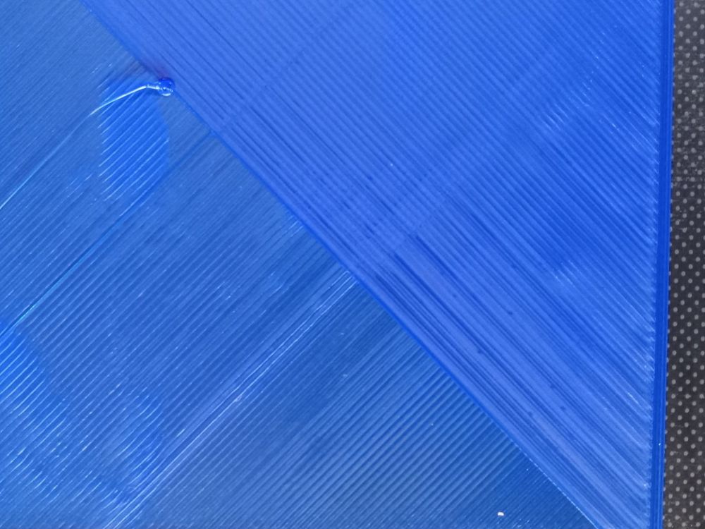 20230426_122959.jpg