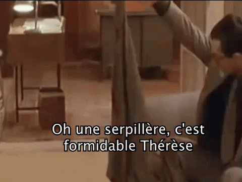 serpillre-le-pre-nol-est-une-ordure.gif.bf91ad815d1b697e7d82ff67b636f8f5.gif