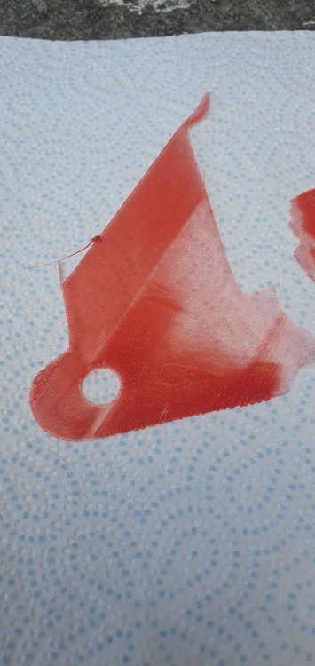 20230825_155134.jpg