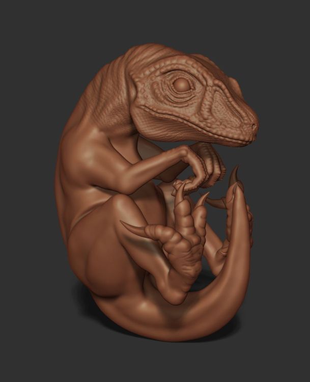 ZBrush Document.jpg