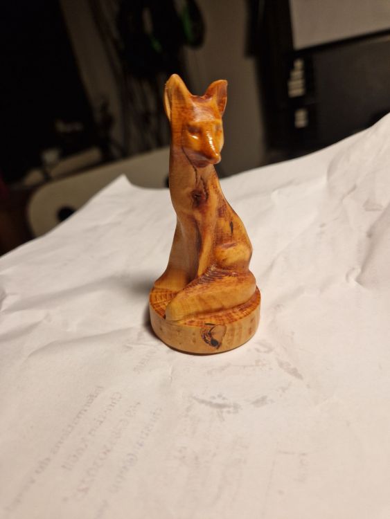 20230903_211019.jpg
