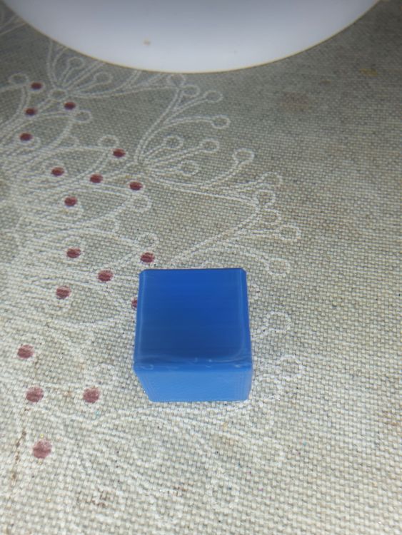 20231031_135301.thumb.jpg.3ac6d69293e4c50627f6dd279d1aed5a.jpg