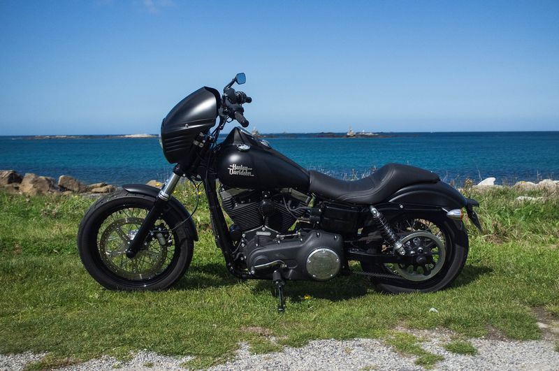 StreetBob-23.jpg.3c45f1d01dab77cbf6259a7c61aeb83a.jpg